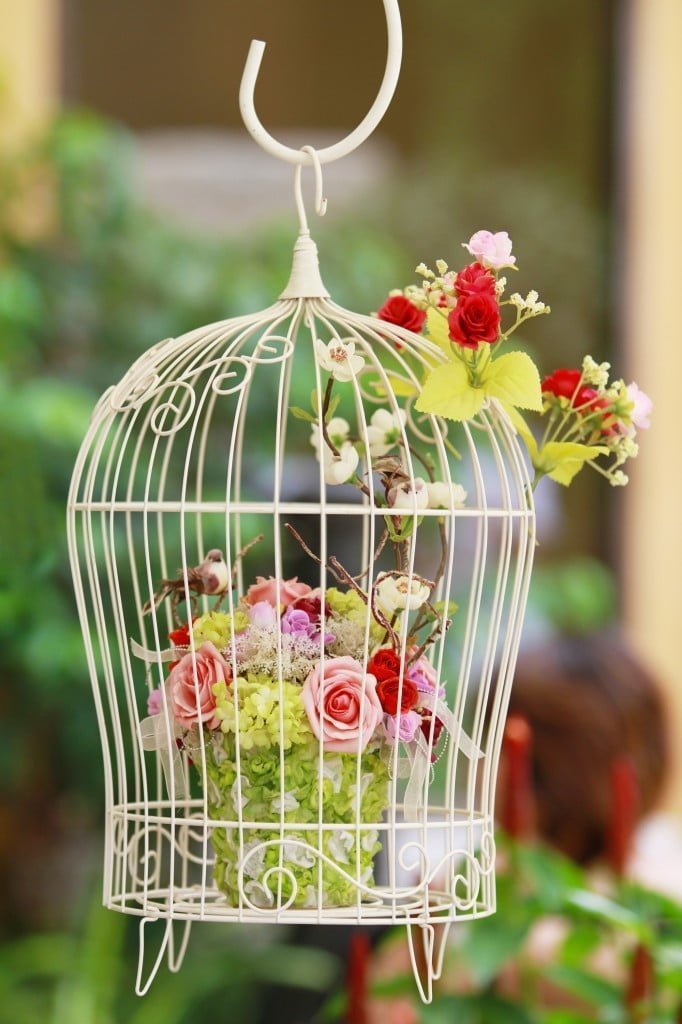 20 Best Decoration Ideas with Birdcage planters in 2017