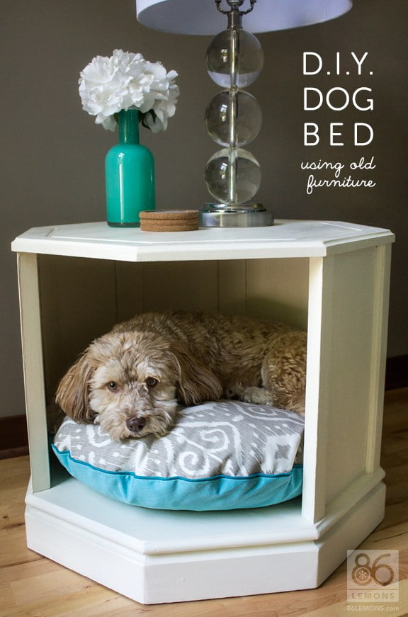 16 Adorable DIY Pet Bed Ideas