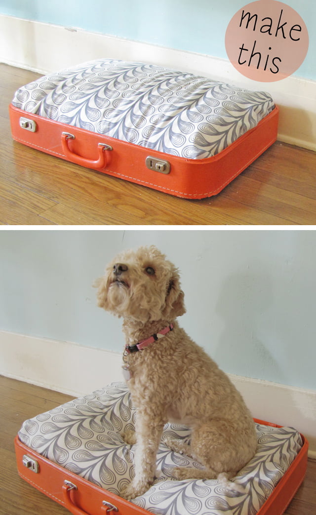 16 Adorable DIY Pet Bed Ideas